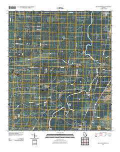 Baconton North 2011 topographic map thumbnail