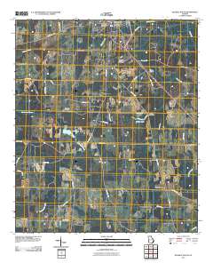 Blakely South 2011 topographic map thumbnail