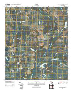 Chickasawhatchee 2011 topographic map thumbnail