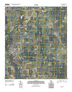 Colquitt 2011 topographic map thumbnail