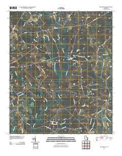 Bay Branch 2011 topographic map thumbnail