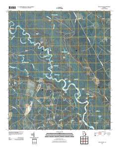 Bug Island 2011 topographic map thumbnail
