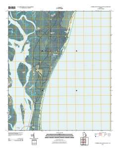 Cumberland Island South 2011 topographic map thumbnail