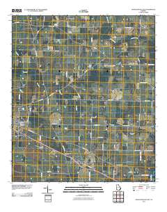 Donalsonville East 2011 topographic map thumbnail