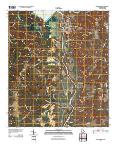 Fort Gaines 2011 topographic map thumbnail