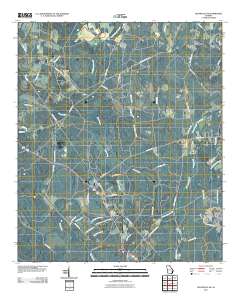 Glennville SE 2011 topographic map thumbnail