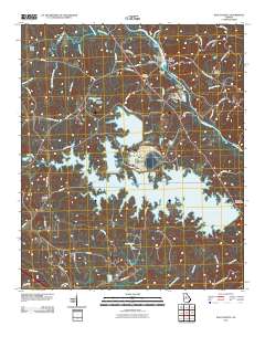 East Juliette 2011 topographic map thumbnail