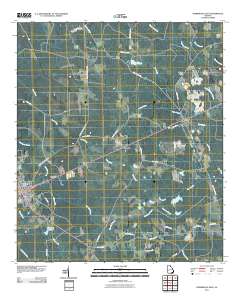 Homerville East 2011 topographic map thumbnail