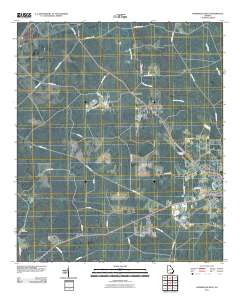 Homerville West 2011 topographic map thumbnail