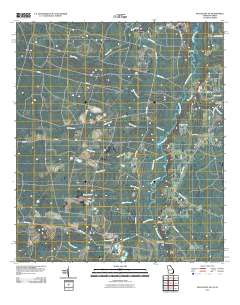 Macclenny NE 2011 topographic map thumbnail