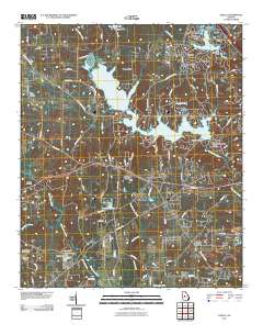 Lizella 2011 topographic map thumbnail