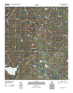 Miccosukee NE 2011 topographic map thumbnail