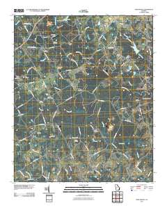 High Shoals 2011 topographic map thumbnail