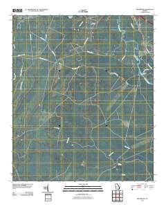 Meldrim SW 2011 topographic map thumbnail