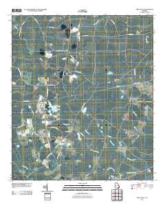 Pine Valley 2011 topographic map thumbnail