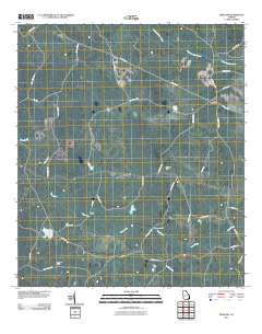 Pineland 2011 topographic map thumbnail