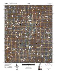 Napoleon 2011 topographic map thumbnail