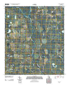 Leary 2011 topographic map thumbnail