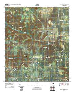 Mount Pleasant 2011 topographic map thumbnail