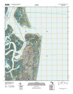 Fernandina Beach 2011 topographic map thumbnail