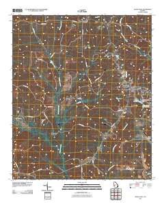 Buena Vista 2011 topographic map thumbnail