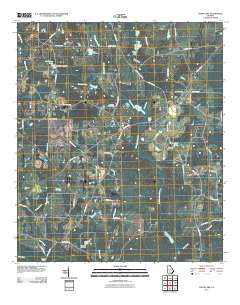Sapps Lake 2011 topographic map thumbnail