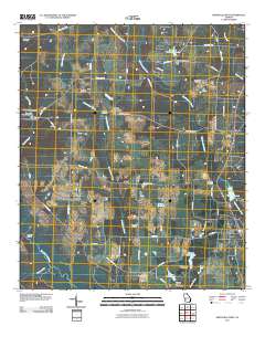 Smithville West 2011 topographic map thumbnail