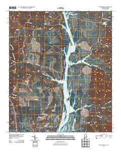 Twin Springs 2011 topographic map thumbnail