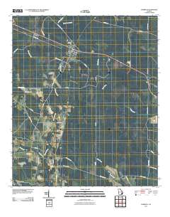 Surrency 2011 topographic map thumbnail