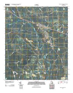 Willacoochee 2011 topographic map thumbnail
