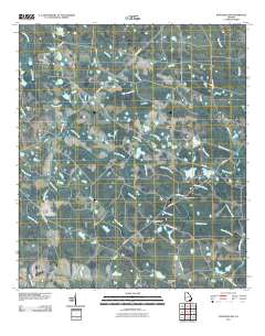 Waycross SW 2011 topographic map thumbnail