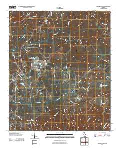 Waverly Hall 2011 topographic map thumbnail