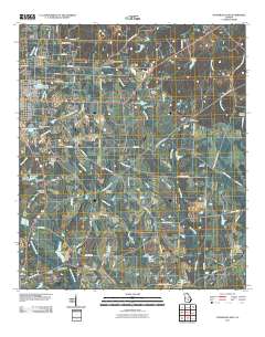 Fitzgerald East 2011 topographic map thumbnail