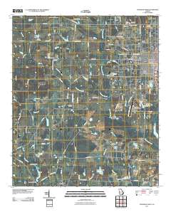 Fitzgerald West 2011 topographic map thumbnail
