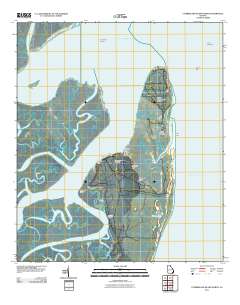 Cumberland Island North 2011 topographic map thumbnail