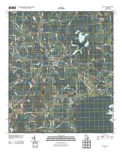 Ray City 2011 topographic map thumbnail