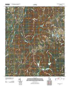 Tarversville 2011 topographic map thumbnail