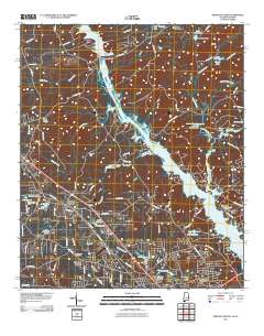 Smiths Station 2011 topographic map thumbnail