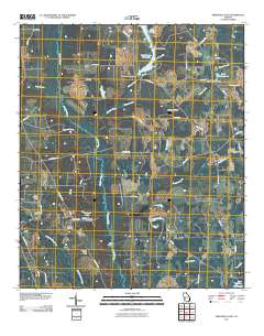 Smithville East 2011 topographic map thumbnail