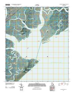 Wassaw Sound 2011 topographic map thumbnail