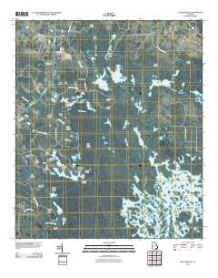 Waycross SE 2011 topographic map thumbnail