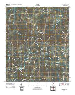 Canoochee 2011 topographic map thumbnail