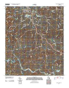 Lincoln Park 2011 topographic map thumbnail