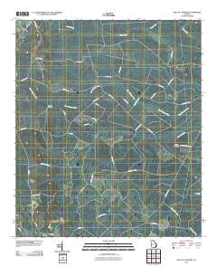 East of Ludowici 2011 topographic map thumbnail