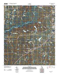 Pine Park 2011 topographic map thumbnail