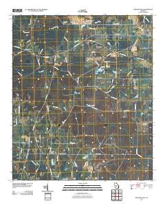 Pineview West 2011 topographic map thumbnail