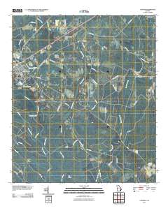 Ludowici 2011 topographic map thumbnail