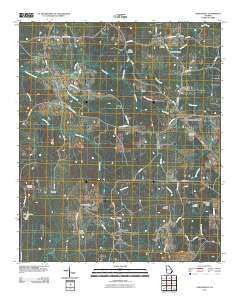 Odessadale 2011 topographic map thumbnail