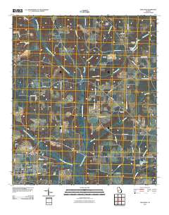 Shellman 2011 topographic map thumbnail