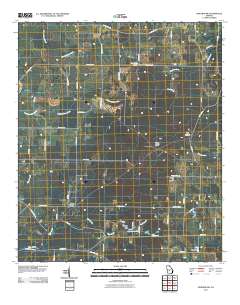 Pineview SW 2011 topographic map thumbnail